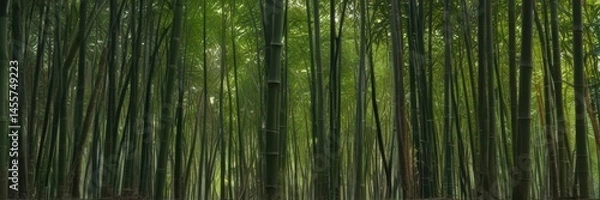 Obraz Abstract textured bamboo grove, shadows dappled sunlight, relaxing, visual