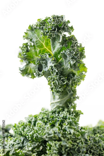 Fototapeta Fresh green Kale leaf salad vegetable on white background.