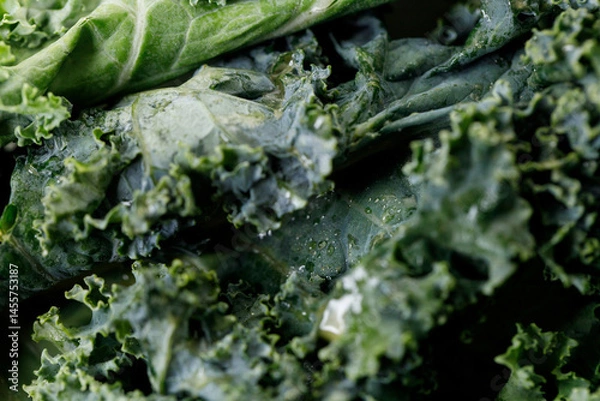 Fototapeta Fresh green Kale leaf salad vegetable with water drops background.