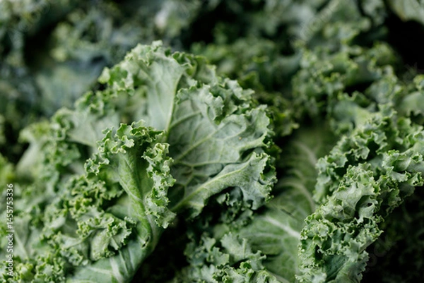 Fototapeta Fresh green Kale leaf salad vegetable.