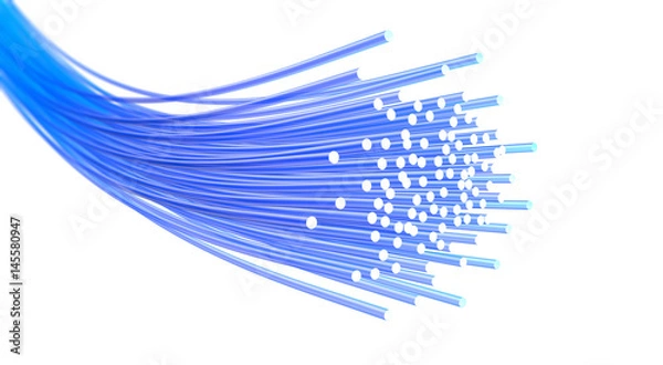 Obraz Optical fiber