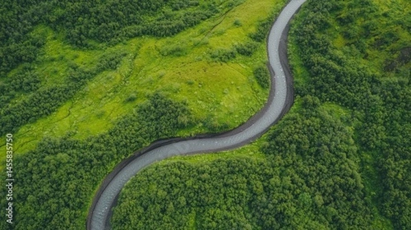 Fototapeta A winding river traverses a lush, verdant landscape.