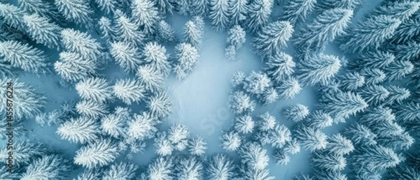 Fototapeta Snow covered trees display beautiful winter landscape viewed from above, presenting serene natural scene.