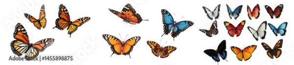 Fototapeta Set of colorful butterflies flying in the air, isolated on a transparent background.