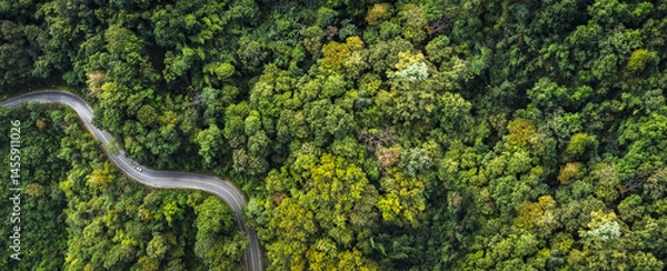 Obraz Electric cars to protect the environment and transportation road of Rainforest ecosystem and healthy environment concept , road curve construction up to mountain, panoramic view