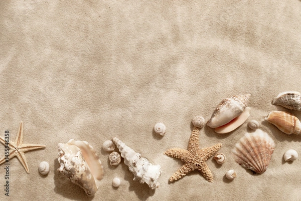 Fototapeta Sandy beach with collections of white and beige seashells and starfish as natural textured background for summer travel and vacation design