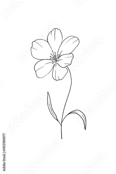 Fototapeta Twig of delicate beautiful flower with leaves outline drawing hand drawn single isolated white background