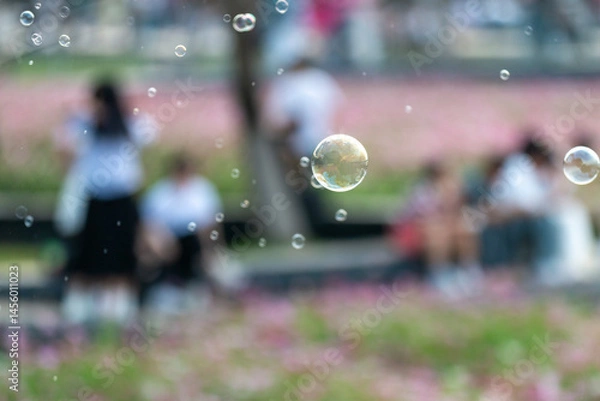 Obraz soap bubbles in the park