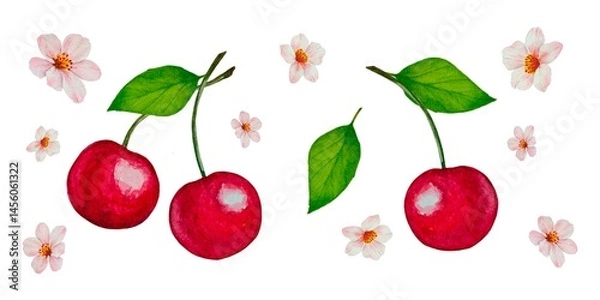 Fototapeta Set of illustrations with branches of juicy red cherries green leaves pink flowers on a white background, made in watercolor technique. Bright and summery design.