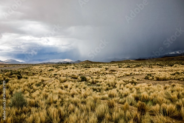 Obraz Desert and prairie of Bolivia. Landscapes of the LaPaz - Uyuni Road
