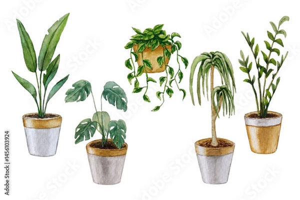 Obraz Set of indoor plants. Watercolor illustration. White background. For your design