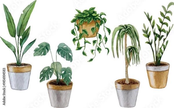 Obraz Vector set of indoor plants. Watercolor illustration. White background. For your design