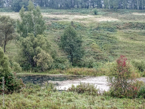 Obraz the bank of a small river in spring