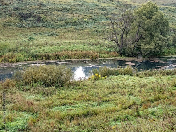 Obraz the bank of a small river in spring