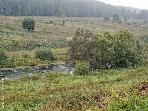 Obraz the bank of a small river in spring