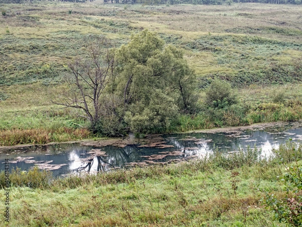 Obraz the bank of a small river in spring