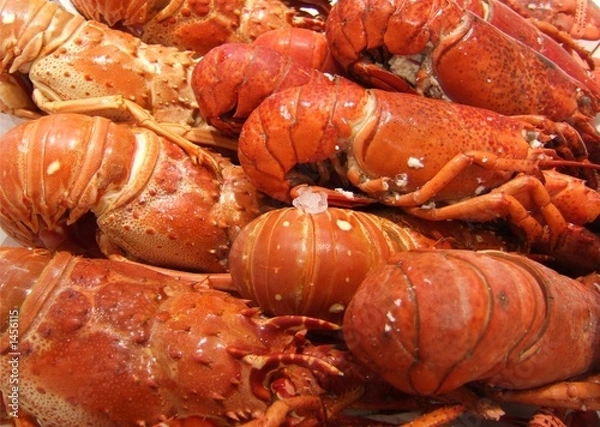 Obraz homards