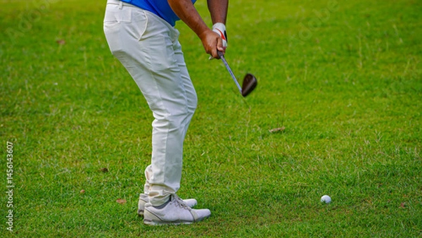 Fototapeta Golfer playing golf in the evening golf course, on sun set evening time.