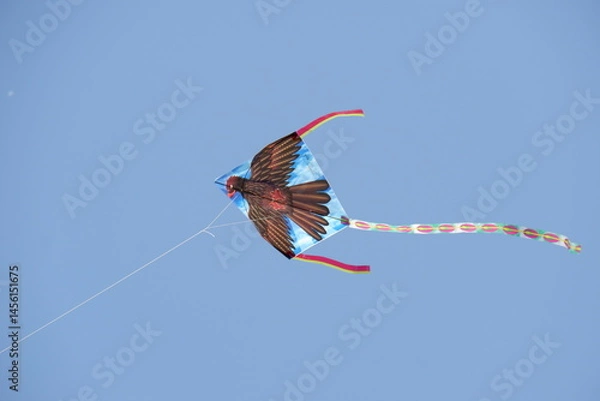 Obraz Bird Kite Soaring High in a Clear Blue Sky