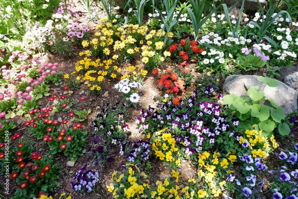 Obraz Vibrant Spring Flower Garden in Full Bloom