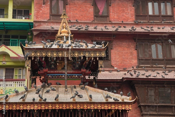 Obraz A flock of pigeons is pecking at grain food on the street in Kathesimbu Buddha Stupa, Kathmandu, Nepal.