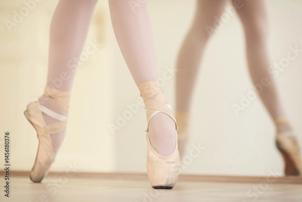 Fototapeta Beautiful ballet dancer practicing