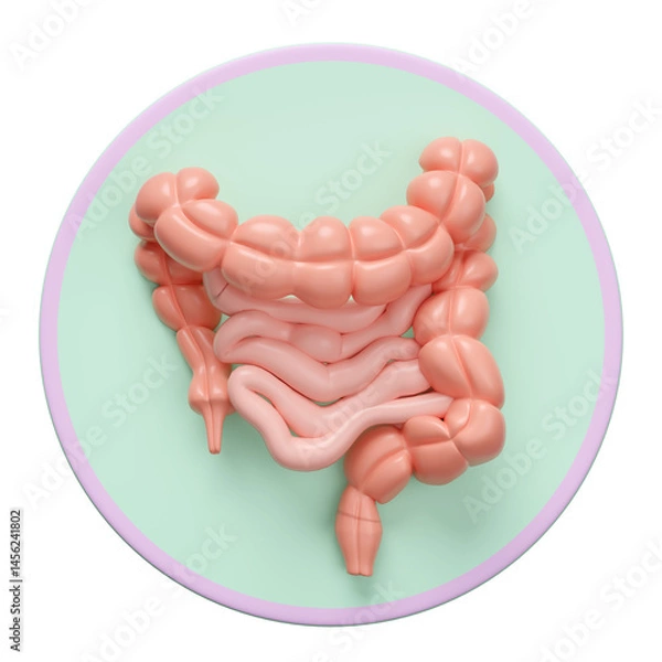 Fototapeta 3d colon human realistic icon isolated. 3d illustration render