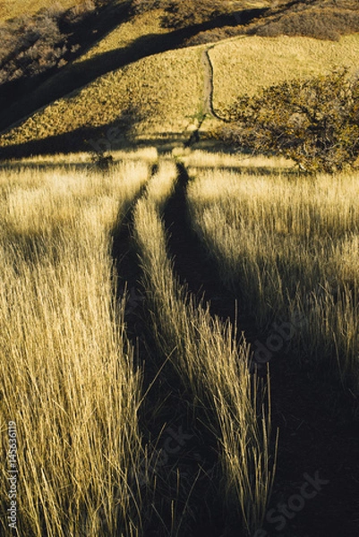 Obraz The Road Less Traveled