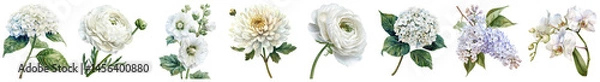 Fototapeta Beautiful Collection of White Flowers with Green Leaves Perfect for Elegant Decoration and Floral Arrangements in Various Settings