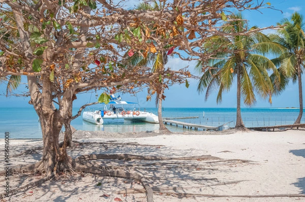 Fototapeta Catamaran moored near a white sand beach with palm trees and crystal clear turquoise water, offering a tranquil vacation getaway