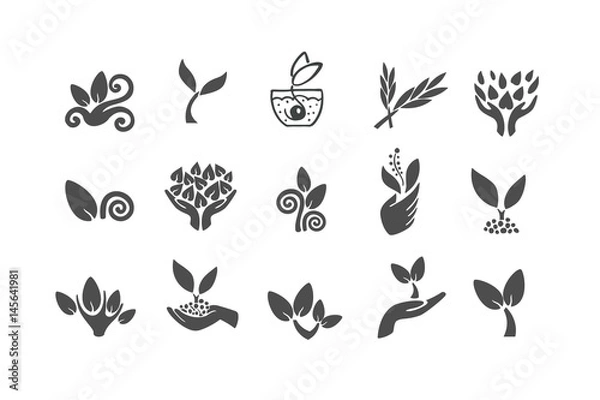 Fototapeta Set of black leaves design elements. Plant and sprout growing icons flat line design vector.