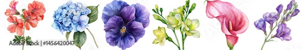 Fototapeta Beautiful Collection of Colorful Flowers Including Geraniums, Hydrangeas, Pansies, and Calla Lilies for Floral Design Projects