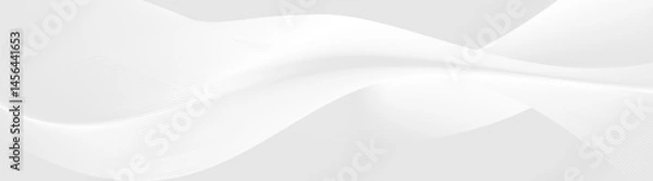 Fototapeta flow white gradient wave curve shape design soft gray background