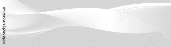 Fototapeta flow white gradient wave curve shape design soft gray background