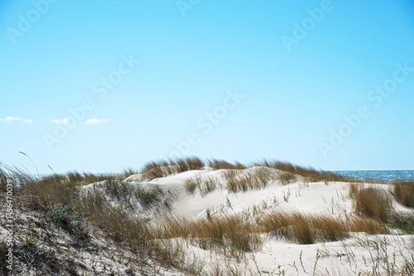 Obraz Sunny spring day by Baltic sea, Liepaja surroundings, Latvia.
