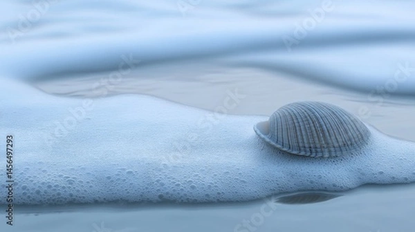 Obraz Seashell in Blue Ocean Foam
