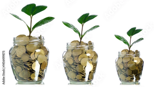 Obraz sapling plant in jar coins isolated