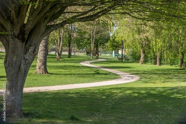 Fototapeta Sinuous path on an idyllic spring european park with green lawn and beautiful old trees