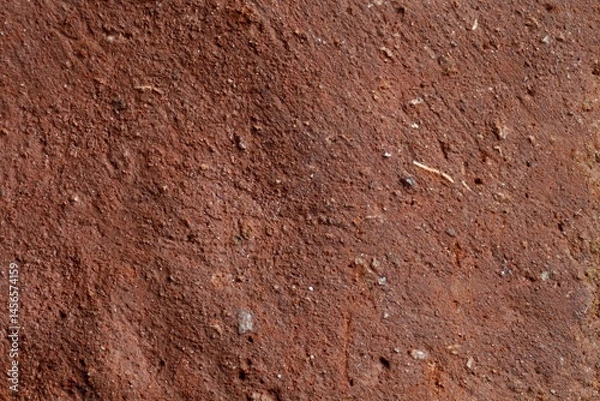 Fototapeta Red Rock Surface Texture Macro Shot