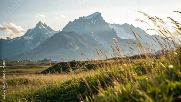 Obraz Blurred Grass, Focused Mountains: Scenic Contrast