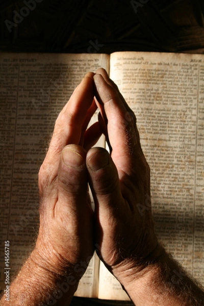 Obraz Praying Hands