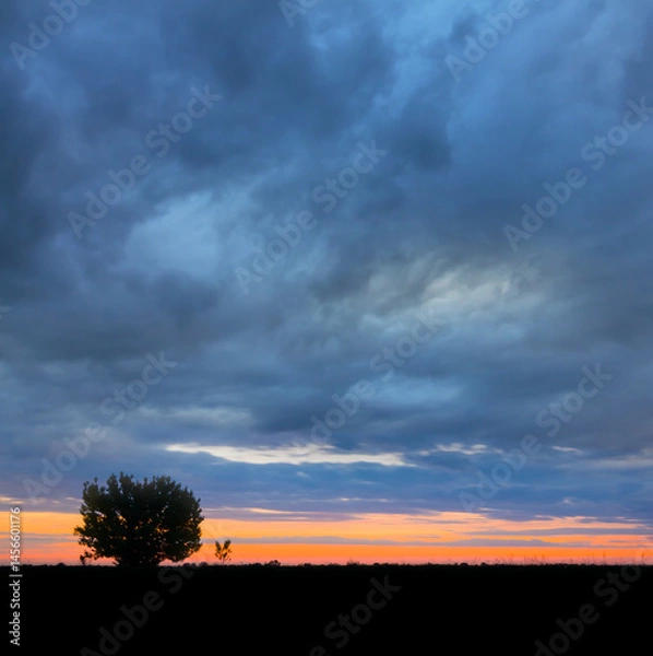 Fototapeta tree silhouette among prairie under dense dramatic cloudy sky