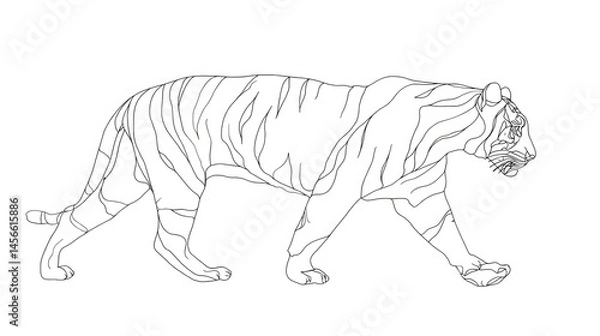 Obraz Beautiful tiger Line Art Minimalist Continuous One Line Drawing of Elegant animal Portrait, Abstract Hand-Drawn Sketch for Banner, Poster, Logo, Decoration
