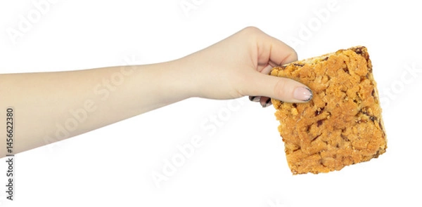 Obraz cookies in hand, outstretched hand with cookies isolated from background