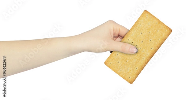 Obraz cookies in hand, outstretched hand with cookies isolated from background