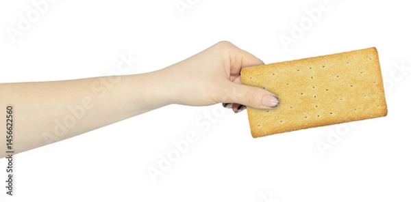 Obraz cookies in hand, outstretched hand with cookies isolated from background