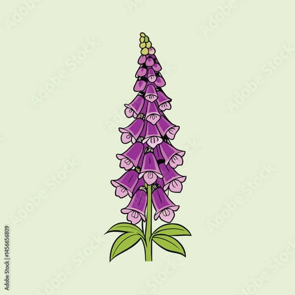 Obraz A vibrant illustration of a foxglove flower with purple bellshaped blossoms and green leaves against a light green background
