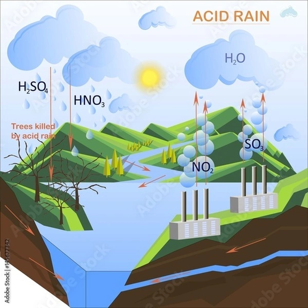 Obraz Scheme of the Acid rain, flats design vector illustration