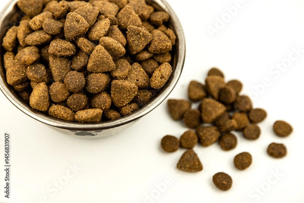 Fototapeta Food for pets view from above on a white background. Dry food bowl