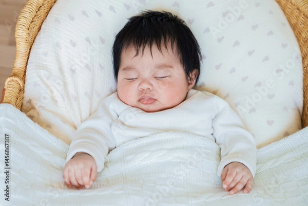 Obraz クーファンで眠る赤ちゃん